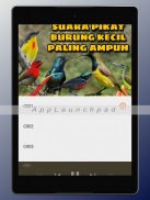 Suara Pikat Burung Ribut Mp3 screenshot 5