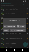 Duck Sounds screenshot 0
