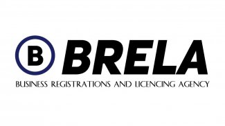 BRELA | TZ ONLINE COMPANY & BUSINESS REGISTRATIONS screenshot 0