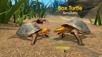 Box Turtle Simulator screenshot 0