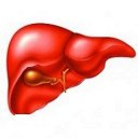 Hepatology & Diseases