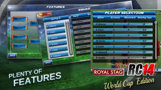 Real Cricket™ 17 screenshot 6