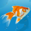 AquaLife 3D Icon