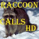 Raccoon Calls HD Icon