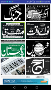 All Pakistan NewsPaper screenshot 3