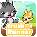 Crush cat runner Icon