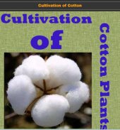 Cultivation of Cotton Plants screenshot 7