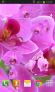 Pink Orchid LWP Free screenshot 1