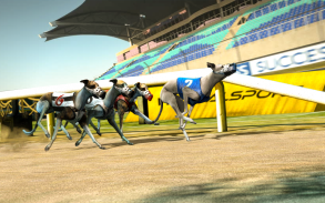 Pet Dog Simulator games offline: Dog Race Game screenshot 1
