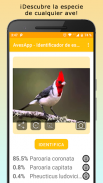 AvesID - Identifica aves screenshot 6