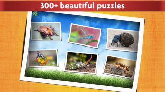 Insect Jigsaw Puzzle Game Kids screenshot 8