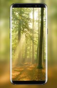 Forest Live Wallpaper 2018 HD Background Nature 3D screenshot 2