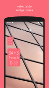 Schwangerschafts - Widget screenshot 0