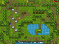 Sokoban Game: Puzzle in Maze screenshot 5