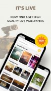 Wall.E - 1M+ Unique Wallpapers screenshot 3