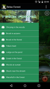 放宽森林 - 大自然的声音 screenshot 0