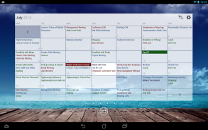 Business Calendar (달력) screenshot 12