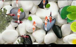 Koi Fish Live Wallpaper 3D screenshot 2