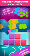 Smart Puzzles Collection screenshot 0