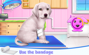 Labrador Puppy Day Care screenshot 4