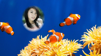 aquarium cadres photo screenshot 5