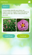 Garden Answers Identificación de Plantas screenshot 5