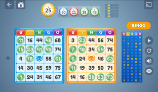 Bingo Set screenshot 14