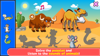 Coloring & Learn Animals screenshot 4