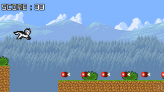 Husky Run screenshot 0