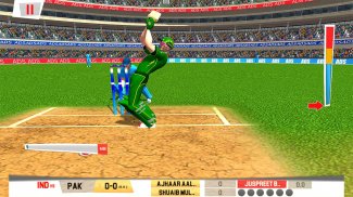 Super World Cricket Ind vs Pak - Cricket Game 2020 screenshot 0
