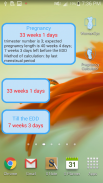 Pregnancy Calculator screenshot 2
