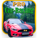 Pro Car Racing