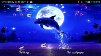 Dolphin Live Wallpaper screenshot 8