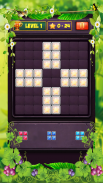 Block Puzzle Level screenshot 14