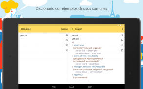Yandex.Translate – traductor y diccionario offline screenshot 8