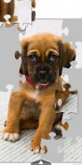 Dogs & Puppies Puzzles screenshot 7
