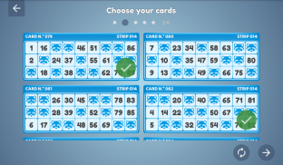 Bingo Set screenshot 19
