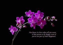 Messages for Valentin day screenshot 6