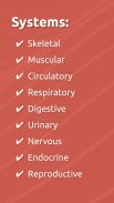 Anatomix: Anatomie lernen quiz screenshot 13