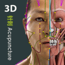 Visual Acupuncture 3D Icon