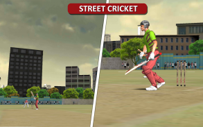 MSD: World Cricket Bash screenshot 4