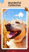 Jigsaw Puzzle Master screenshot 7
